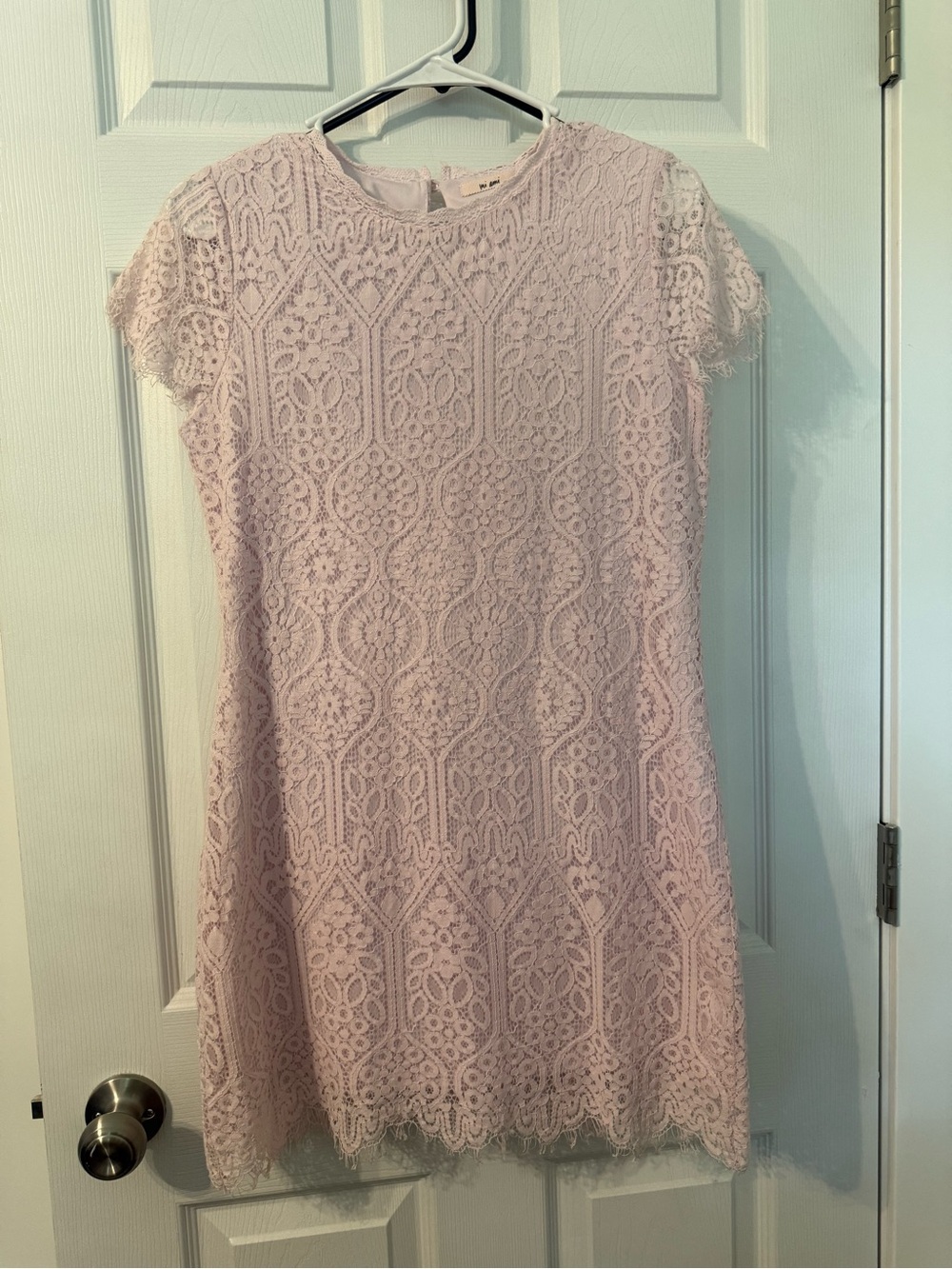 Lace Shift Dress in Light Pink - Elegant Women's Dress